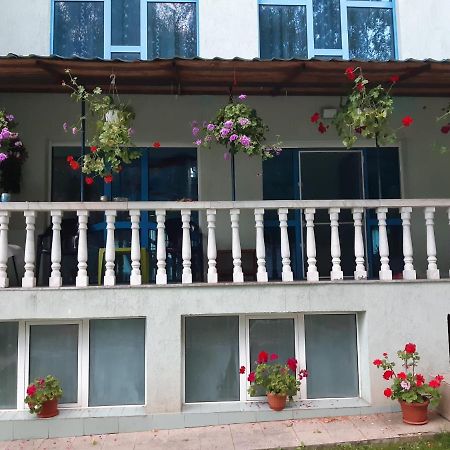 מלון Drumu Carului Casa Albastra מראה חיצוני תמונה