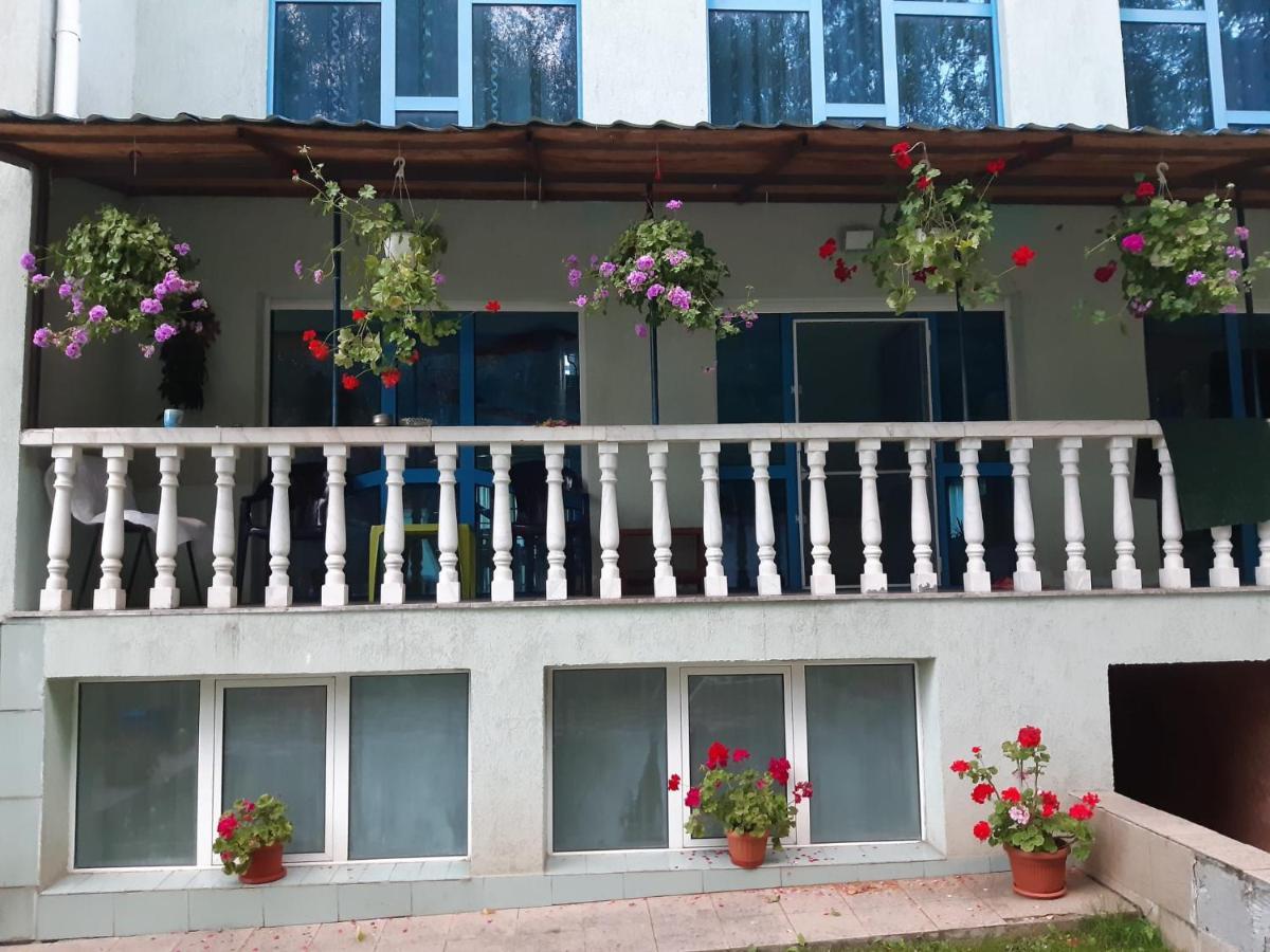 מלון Drumu Carului Casa Albastra מראה חיצוני תמונה