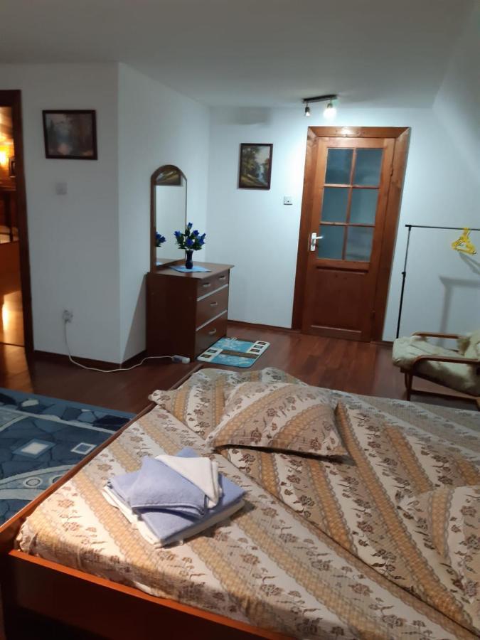 מלון Drumu Carului Casa Albastra מראה חיצוני תמונה