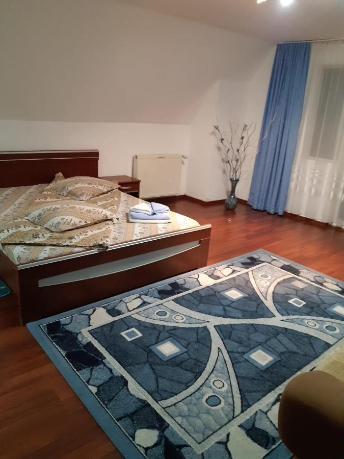 מלון Drumu Carului Casa Albastra מראה חיצוני תמונה