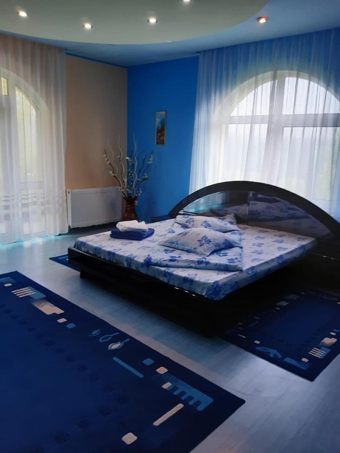 מלון Drumu Carului Casa Albastra מראה חיצוני תמונה